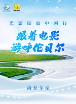 好看的视频你懂的